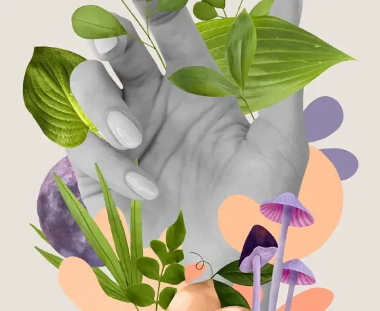 Guía Definitiva: Cómo Subir Imágenes Optimizadas en WooCommerce sin Perder Calidad